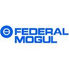 federal mogul company logo